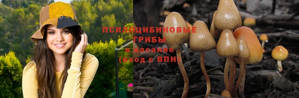 спиды Михайлов