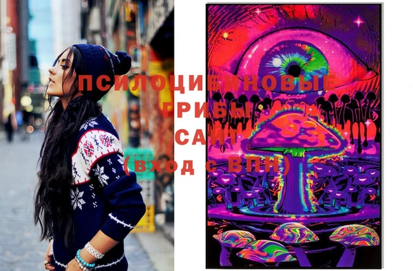 спиды Михайлов