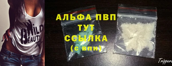 спиды Михайлов