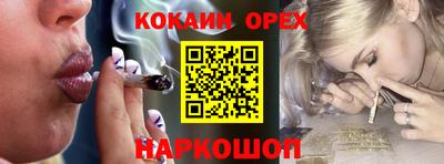 Альфа ПВП Бийск