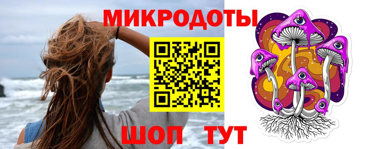 купить наркотик  Вход с VPN  Владимир  Псилоцибиновые грибы GOLDEN TEACHER 